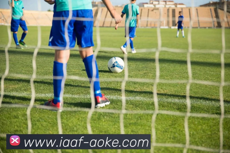 澳客app平台生态图